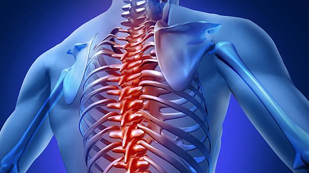 5 Of The Best Thoracic Spine Mobility Exercises Bsr Physical Therapy