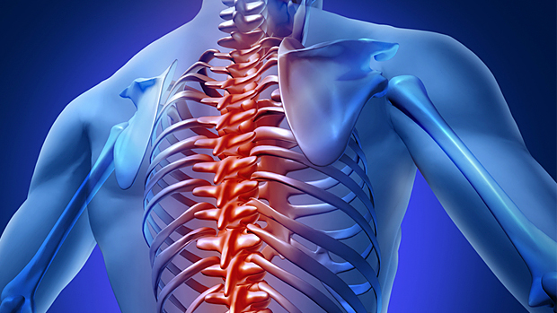 5 of the Best Thoracic Spine Mobility Exercises - BSR Physical Therapy